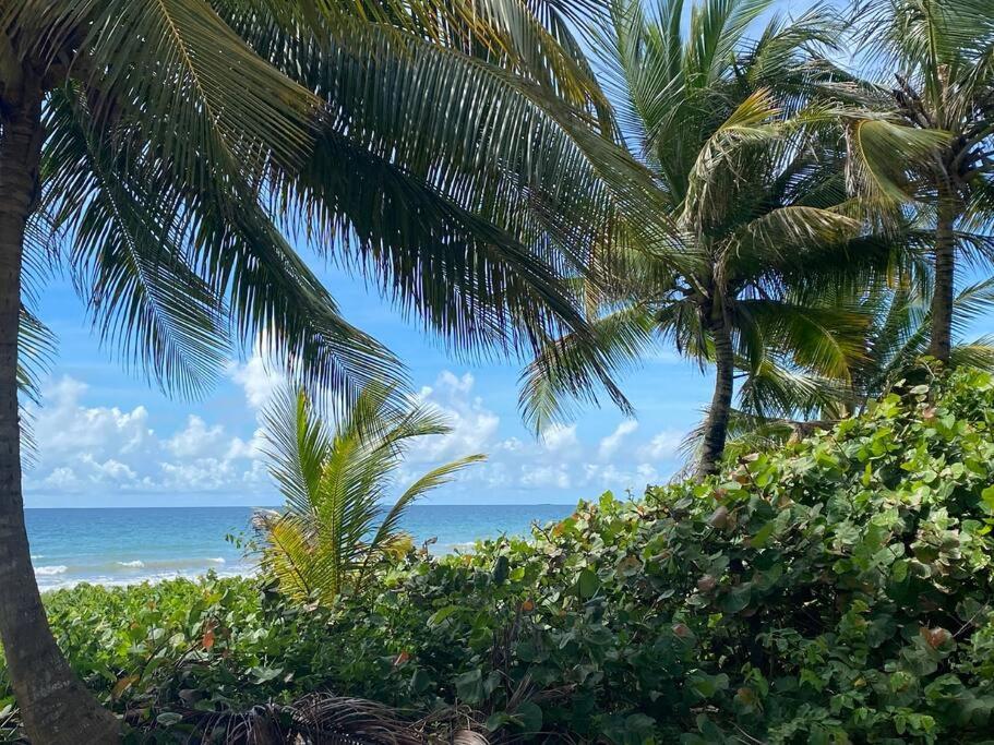 Punta Santiago Ocean Breezeヴィラ エクステリア 写真